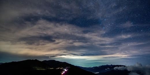 Animal Totem du Cancer : Signification, Symboles et Énergies