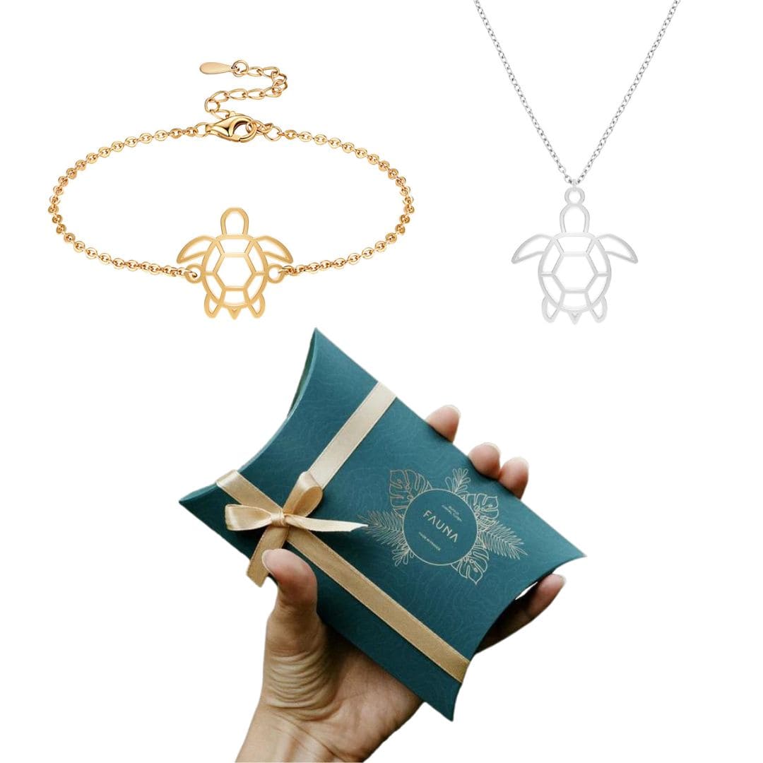 Geschenkset Schildkröte