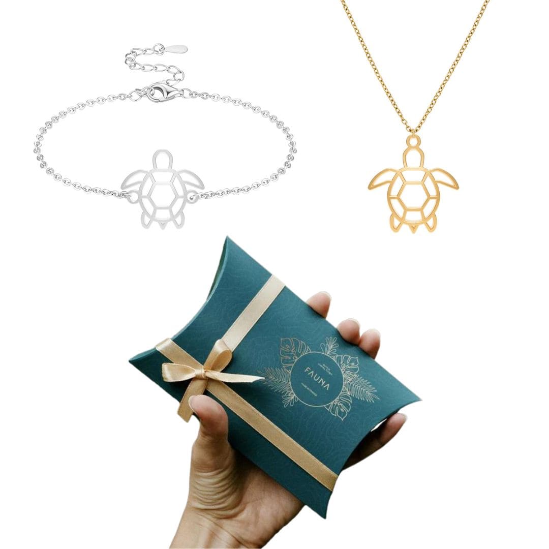 Geschenkset Schildkröte