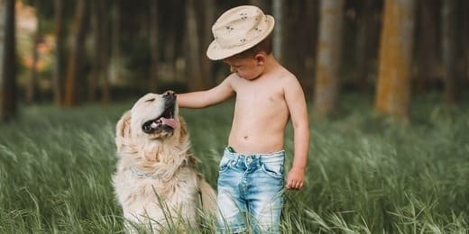 Comprendre la communication animale : Techniques et Bienfaits