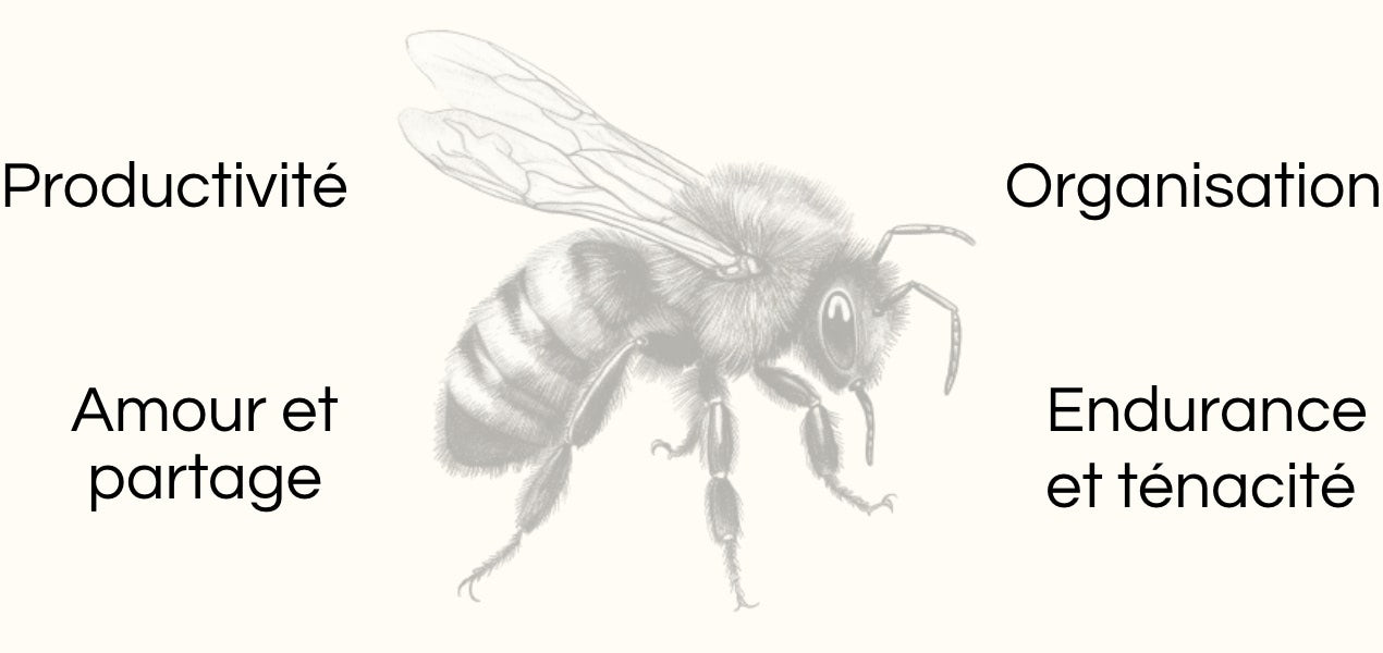 Signification animal totem dessin