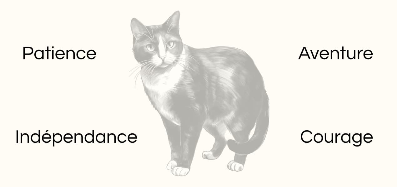 Signification animal totem chat dessin