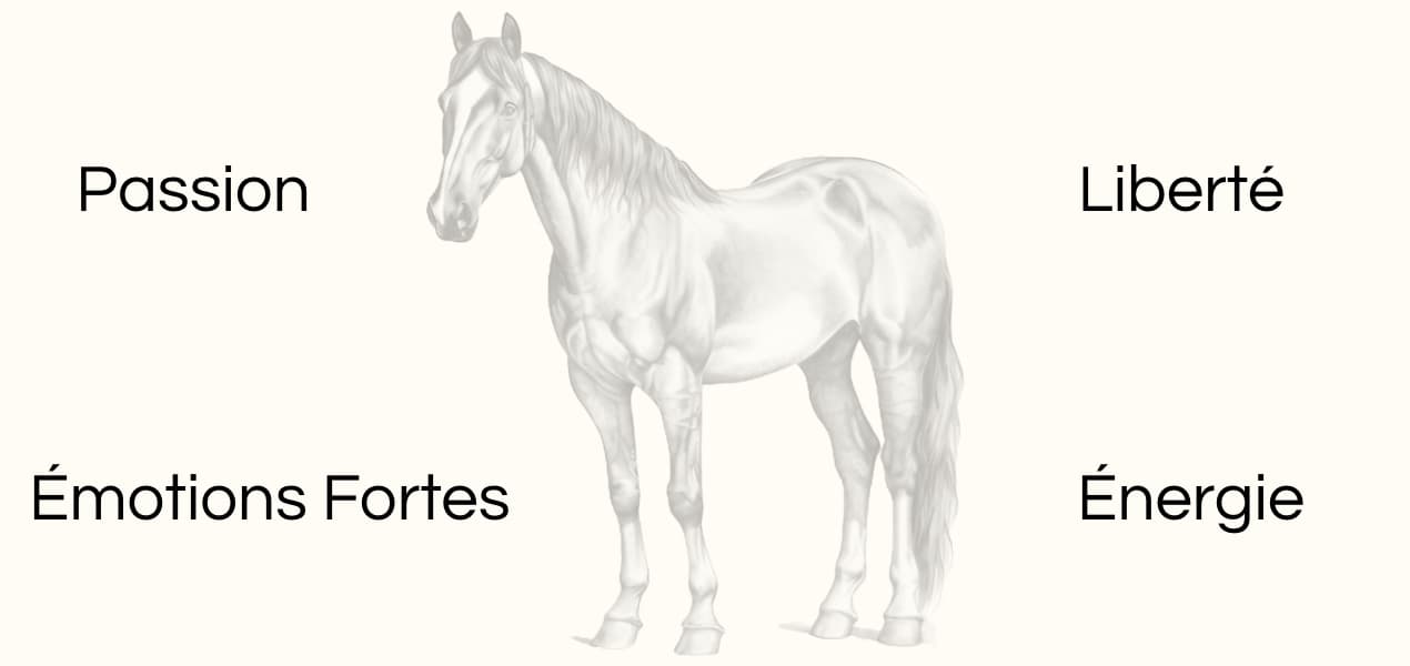 Signification animal totem cheval