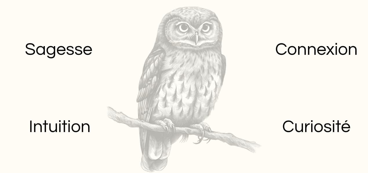 Signification animal totem chouette