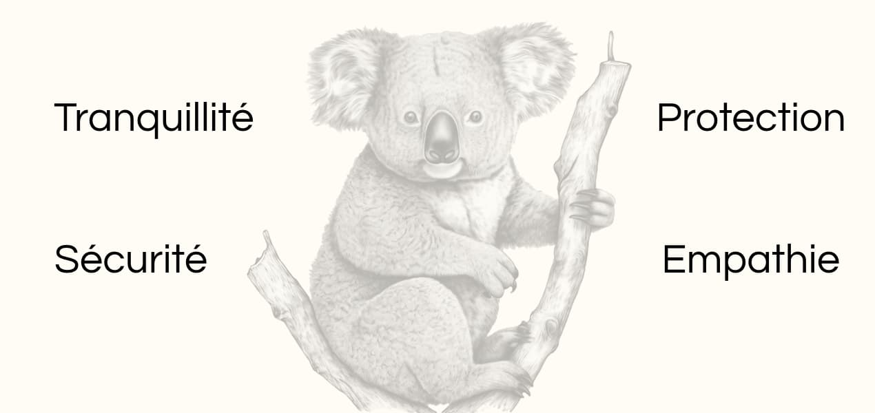 Signification animal totem Koala dessin