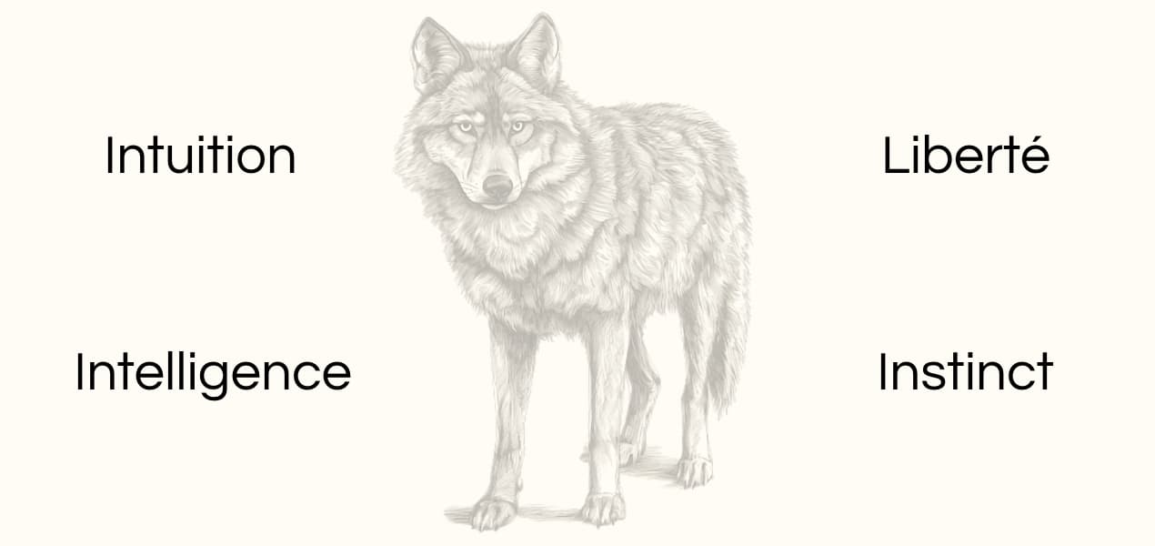 Signification animal totem loup dessin