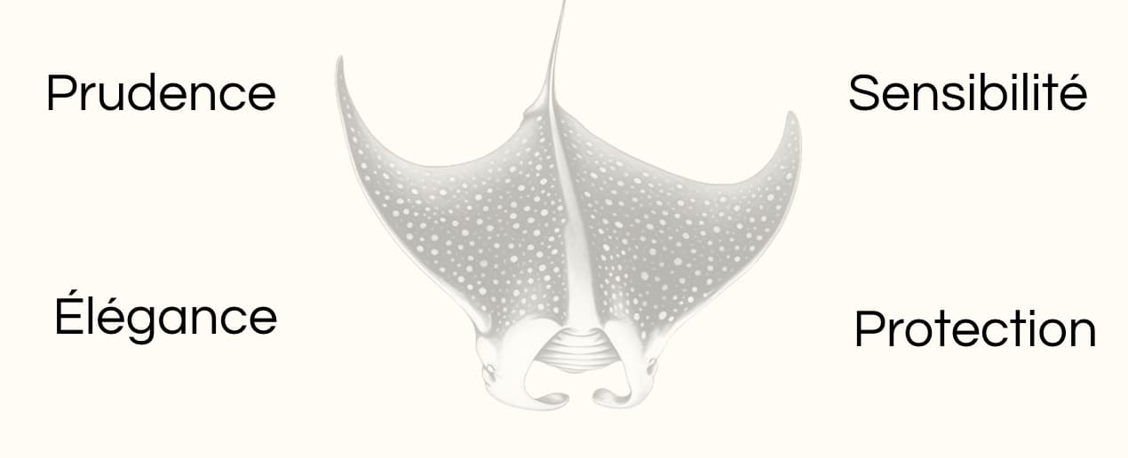 Signification animal totem raie dessin