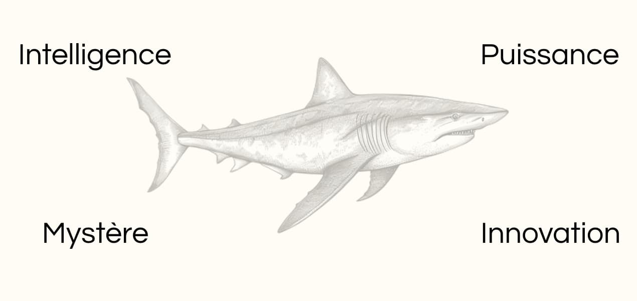 Signification animal totem requin