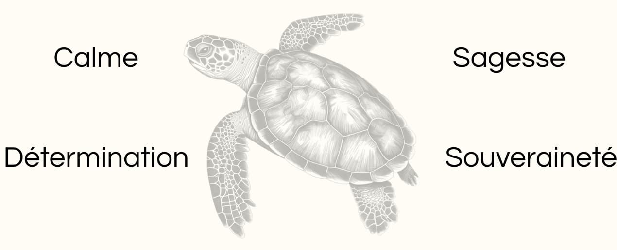 Signification animal totem tortue dessin