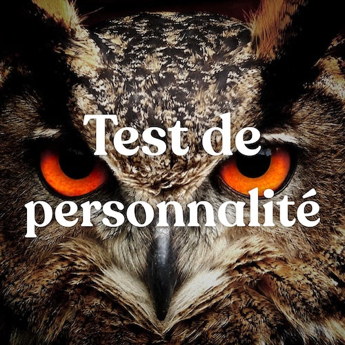 Test de personnalité