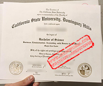 California State University Dominguez Hills Fake Degree