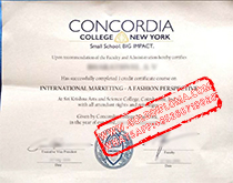 Fake Concordia College-New York diploma