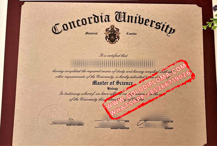 Fake Concordia University Montreal Degree