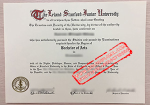 Leland Stanford Junior University fake degree