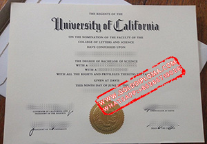 University of California Davis (UCD) fake degree