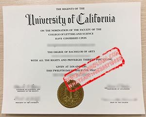 University of California Los Angeles fake degree