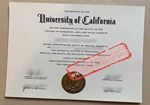 University of California Riverside Fake Diploma