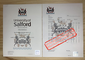 University of Salford Fake Certificate