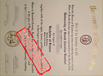 University of South Carolina Beaufort fake degree