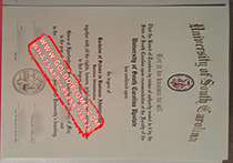 University of South Carolina Spartanburg fake degree