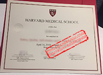 Harvard Medical School Certification Fake Certificate