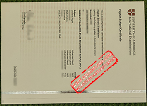 Cambridge Higher School fake certificate