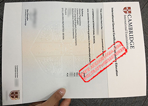 Cambridge International Examinations fake certificate