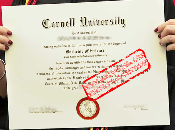 Cornell University fake diploma