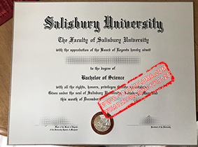 Salisbury University fake degree