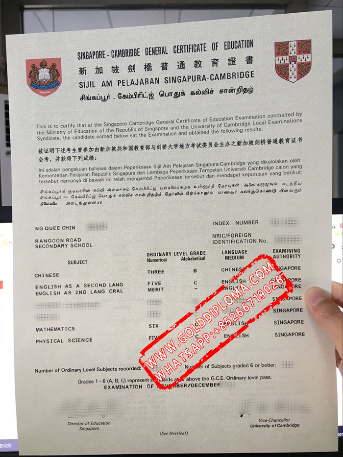 Singapore Cambridge General Certificate of Education fake certificate