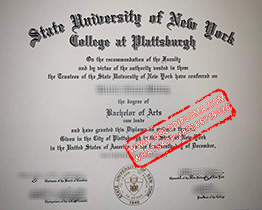 State University of New York College at Plattsburgh fake degree