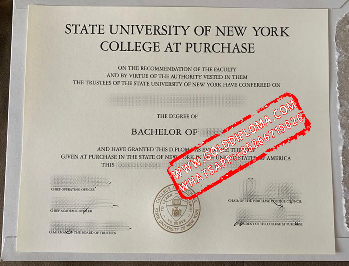 State University of New York Purchase College fake diploma