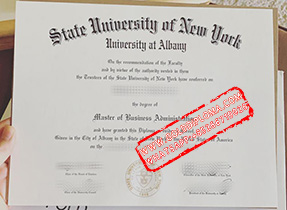 State University of New York University at Albany fake diploma