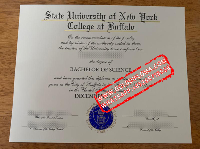 State University of New York at Buffalo fake degree