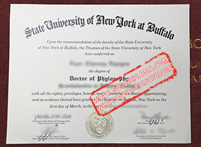 State University of New York at Buffalo fake diploma