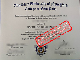 State University of New York at New Paltz fake degree