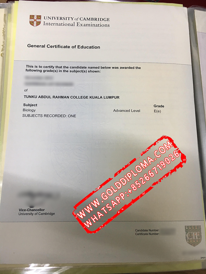 University of Cambridge International Examinations fake certificate