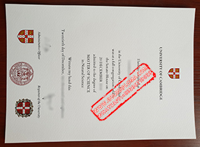 University of Cambridge fake diploma