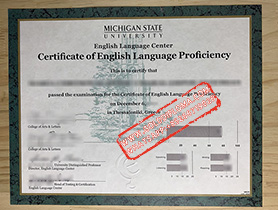 Michigan State University English Language Center fake certificate