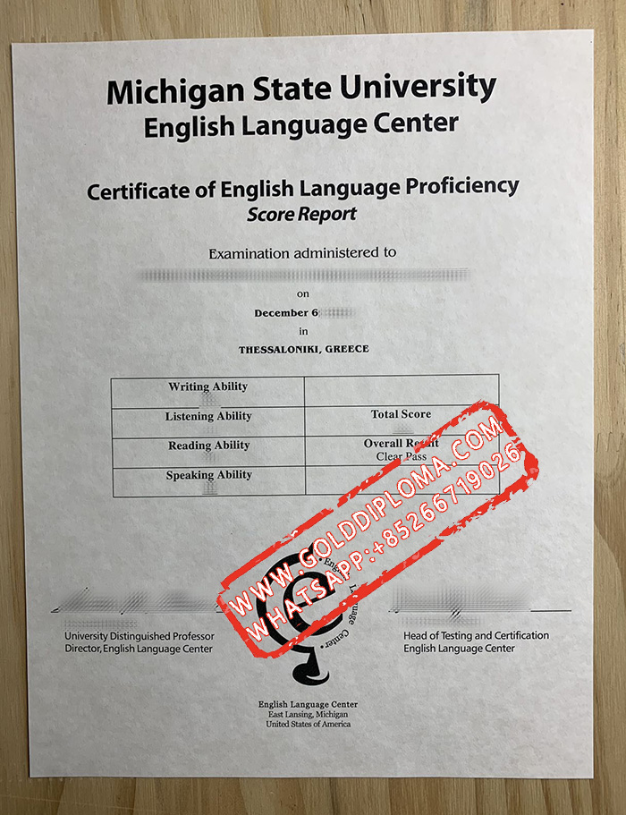 Michigan State University English Language Center fake transcript