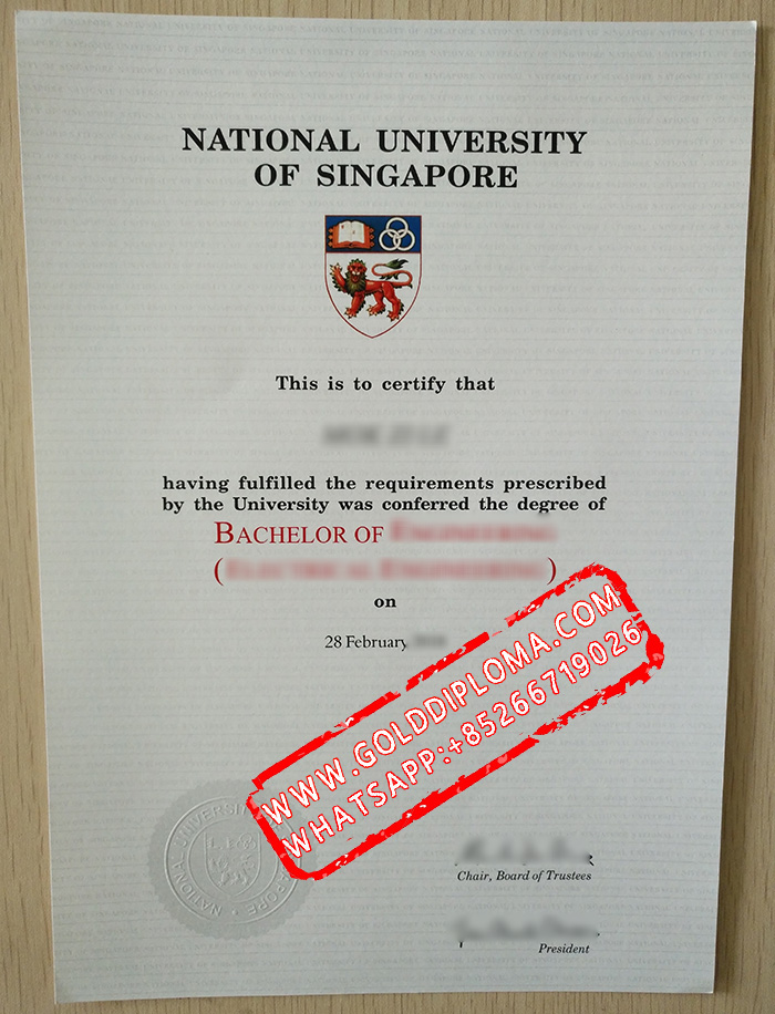 National University of Singapore fake degree