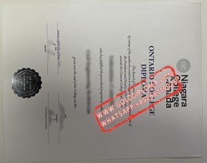 Niagara college Canada fake diploma