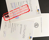 Rheinische Friednch-Wilhelms-Universitat Bonn fake diploma