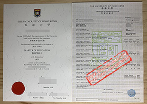 University of Hong Kong fake certificate