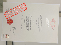 University of Johannesburg fake diploma