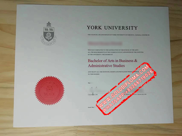 York University fake degree