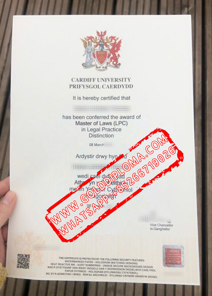 Cardiff University fake degree