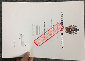 University of Essex fake diploma