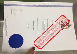 Kingston University fake diploma