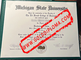 Michigan State University fake degree